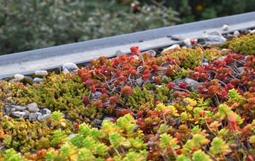 the cost of Kingsbarns green roof installation