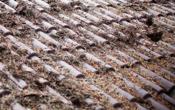 Kingsbarns roof cleaning companies