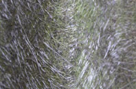 Kingsbarns fibreglass roof work